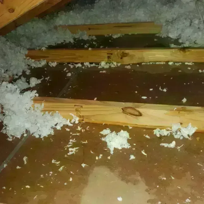 Attic Water Damage in Sergeant Bluff, IA